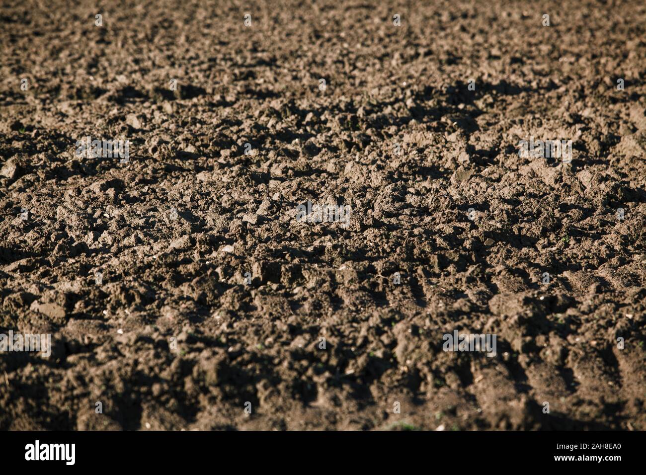 Gepflügten Feldes. Hintergrund von einem gepflügten Feldes Stockfoto