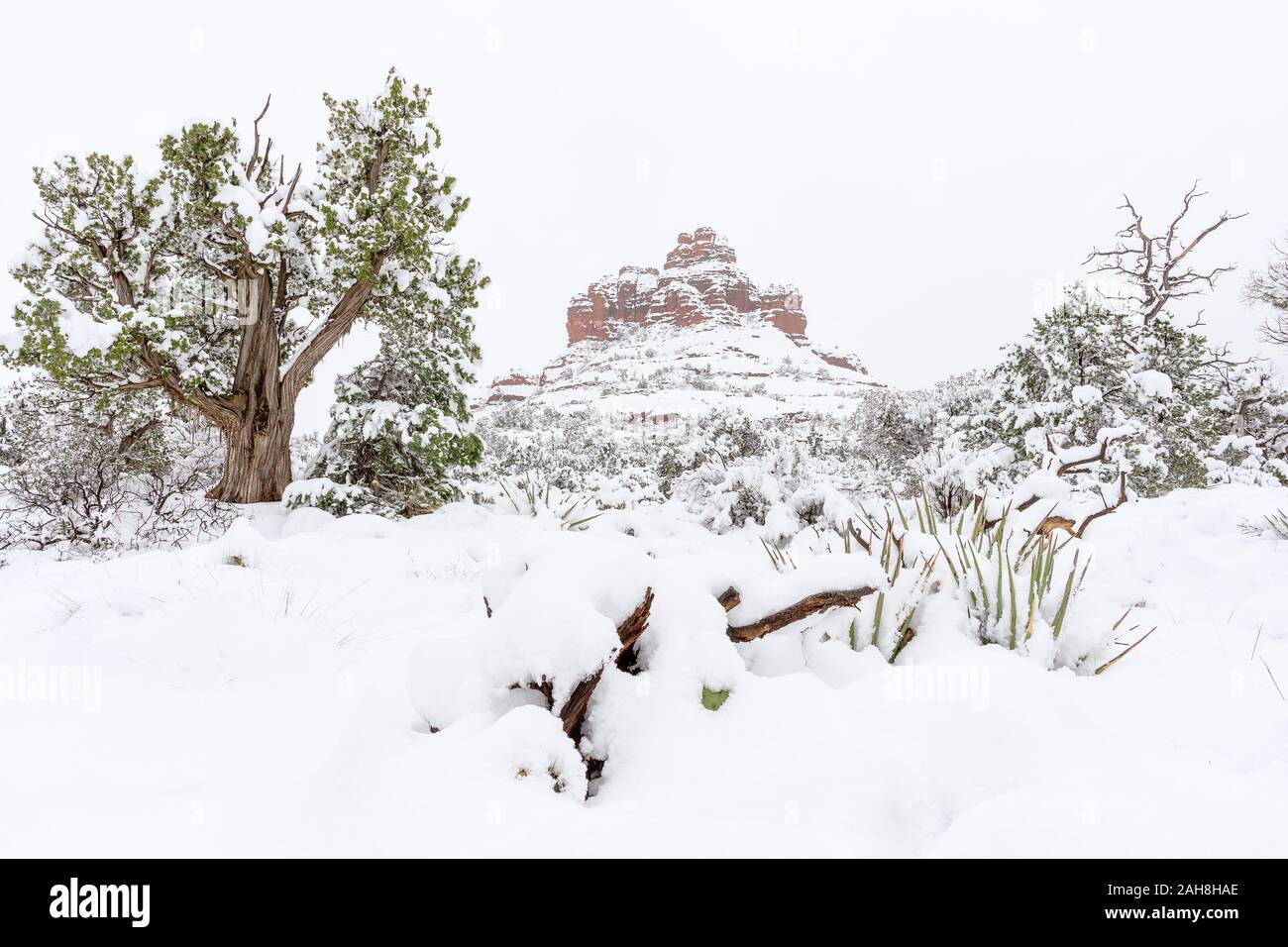 Bell Rock in Sedona, Arizona mit Schnee Stockfoto
