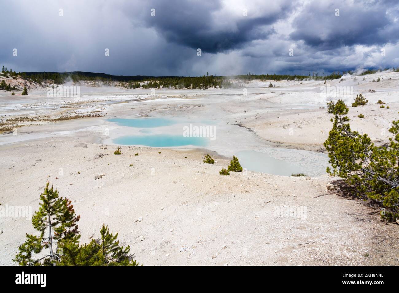 Norris Geyser Basin, Yellowstone-Nationalpark, Wyoming, Vereinigte Staaten von Amerika Stockfoto