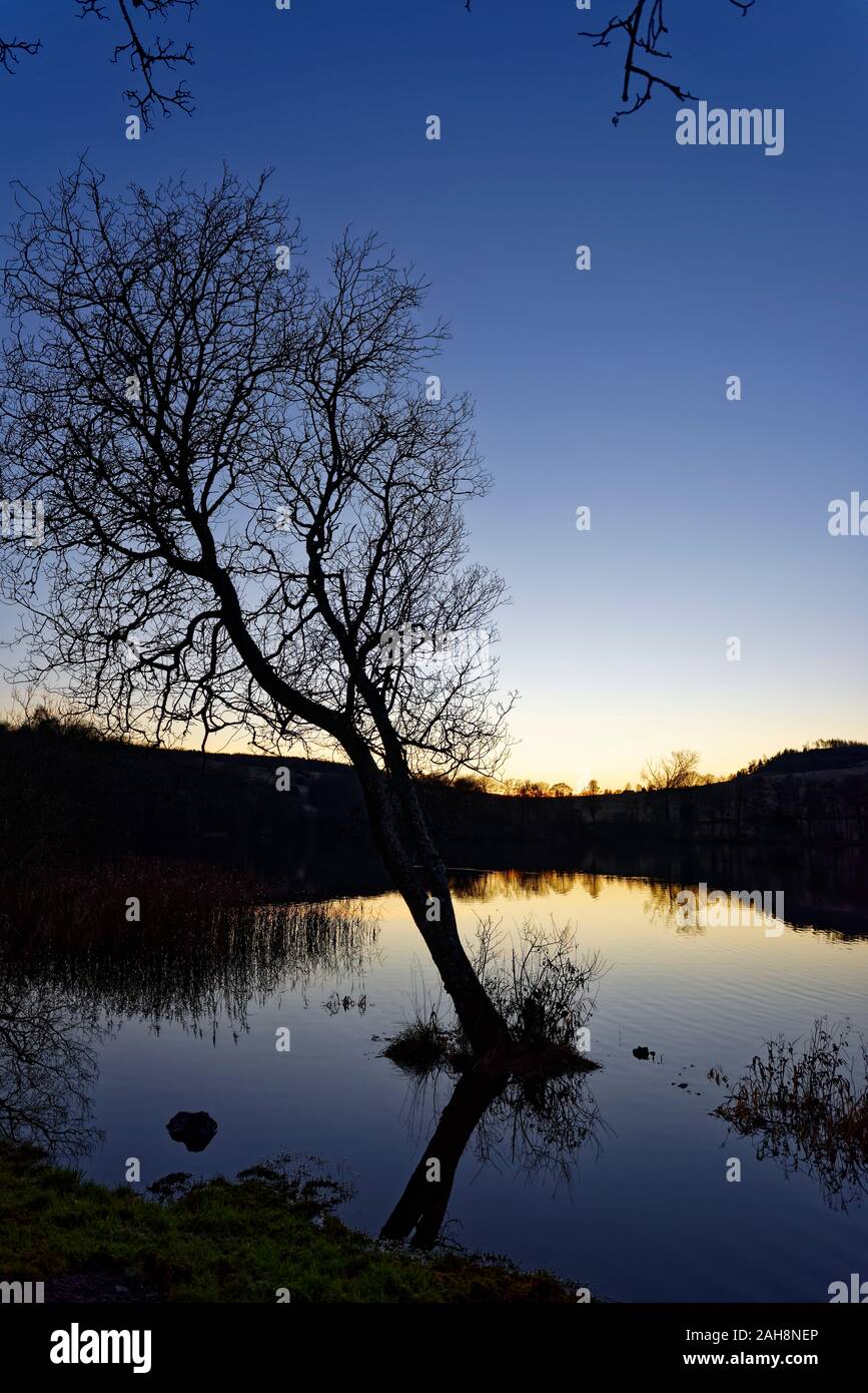 Das schwache Licht von Weihnachten ein Sonnenuntergang über Clunie Loch mit der langen Spiegelungen der Bäume auf dem Wasser des Sees. Stockfoto
