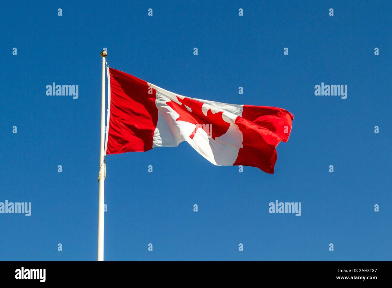 Kanadische Flagge an der kanadischen National Vimy Memorial (Ersten Weltkrieg Memorial) auf die Vimy Ridge in der Nähe der Stadt Arras, Frankreich. Stockfoto