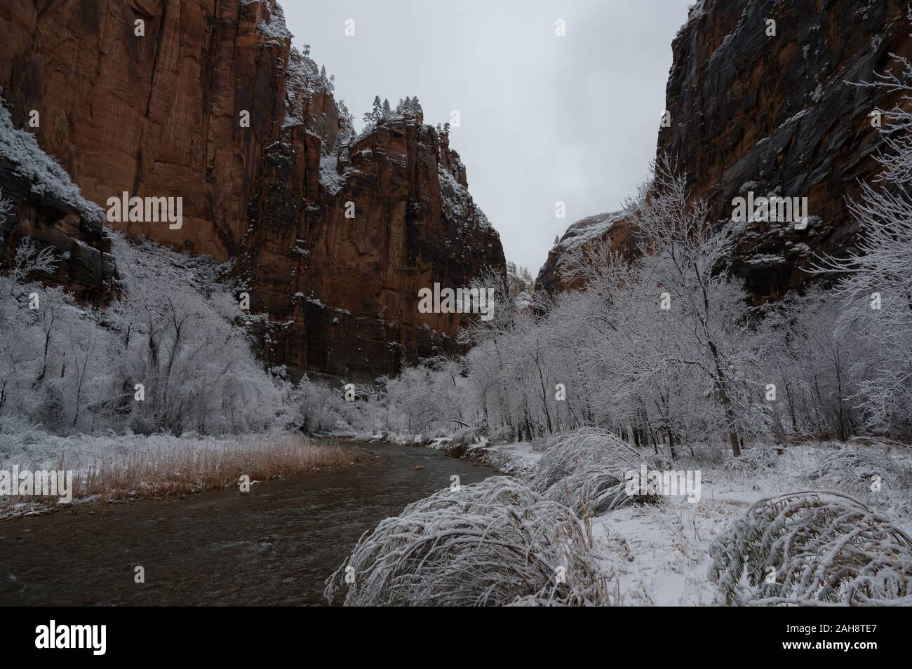 Fluss, der durch Schnee im Winter Landschaft im Zion National Park in Utah. Dieser Fluss ist auf der Wanderung gegen den Tempel des Sinawava gesehen. Stockfoto