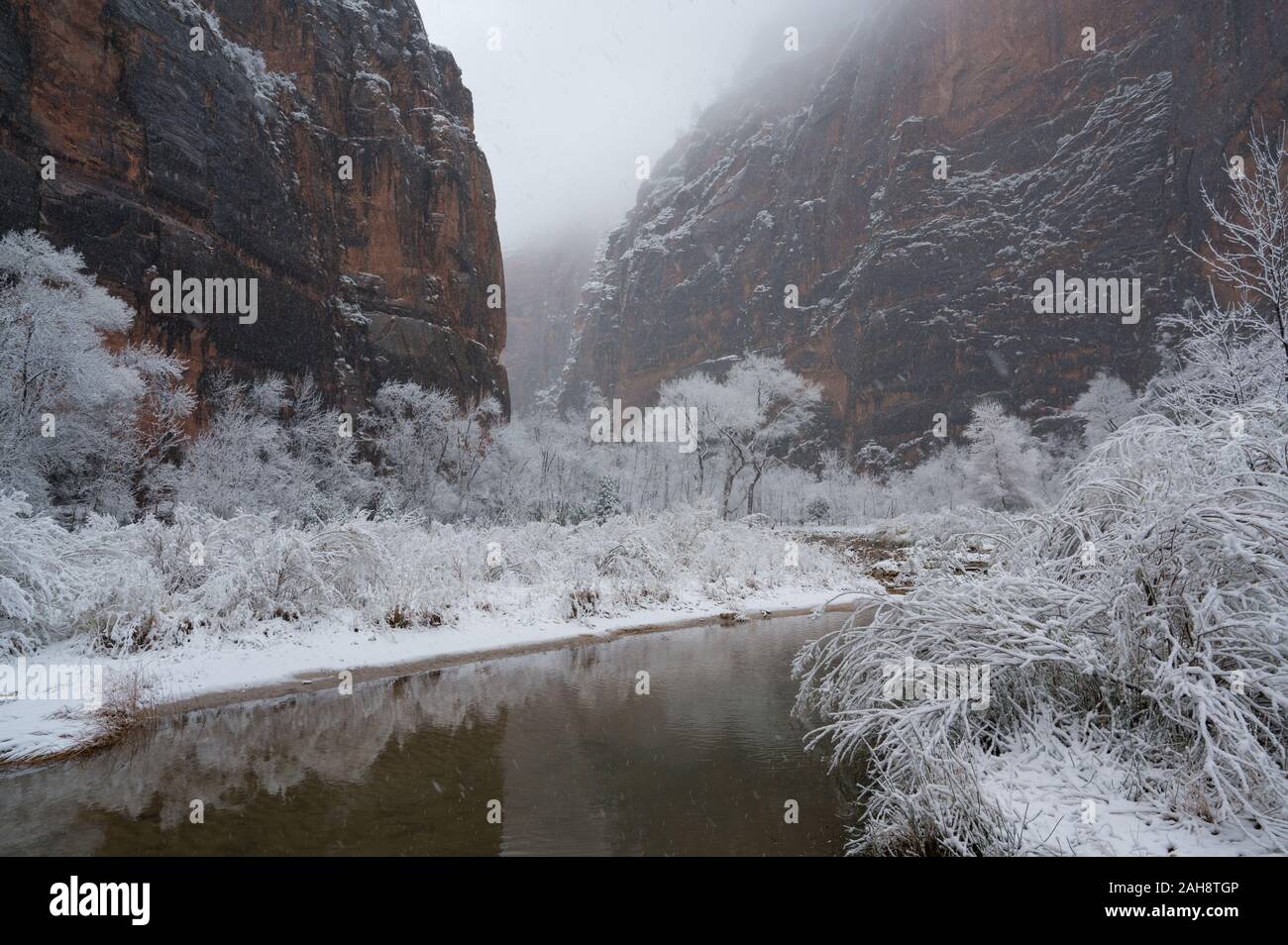 Fluss, der durch Schnee im Winter Landschaft im Zion National Park in Utah. Dieser Fluss ist auf der Wanderung gegen den Tempel des Sinawava gesehen. Stockfoto