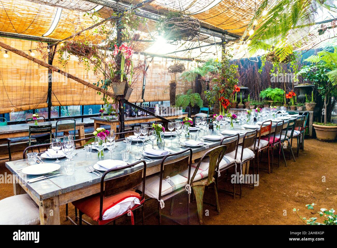 Petersham Baumschulen, Richmond, London, UK Stockfoto