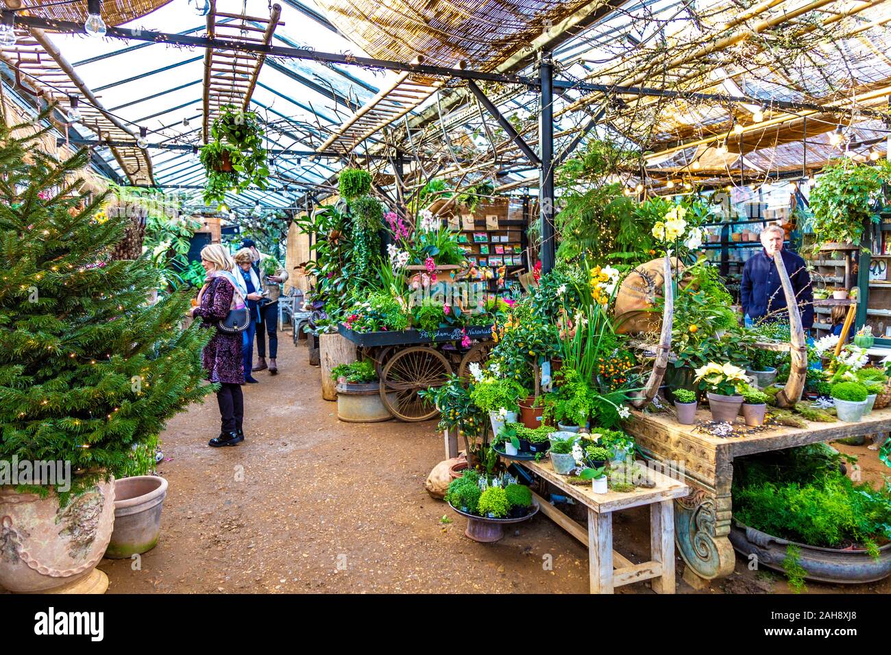 Inneneinrichtung des Pflanzenshops Petersham Nurseries, Richmond, London, Großbritannien Stockfoto
