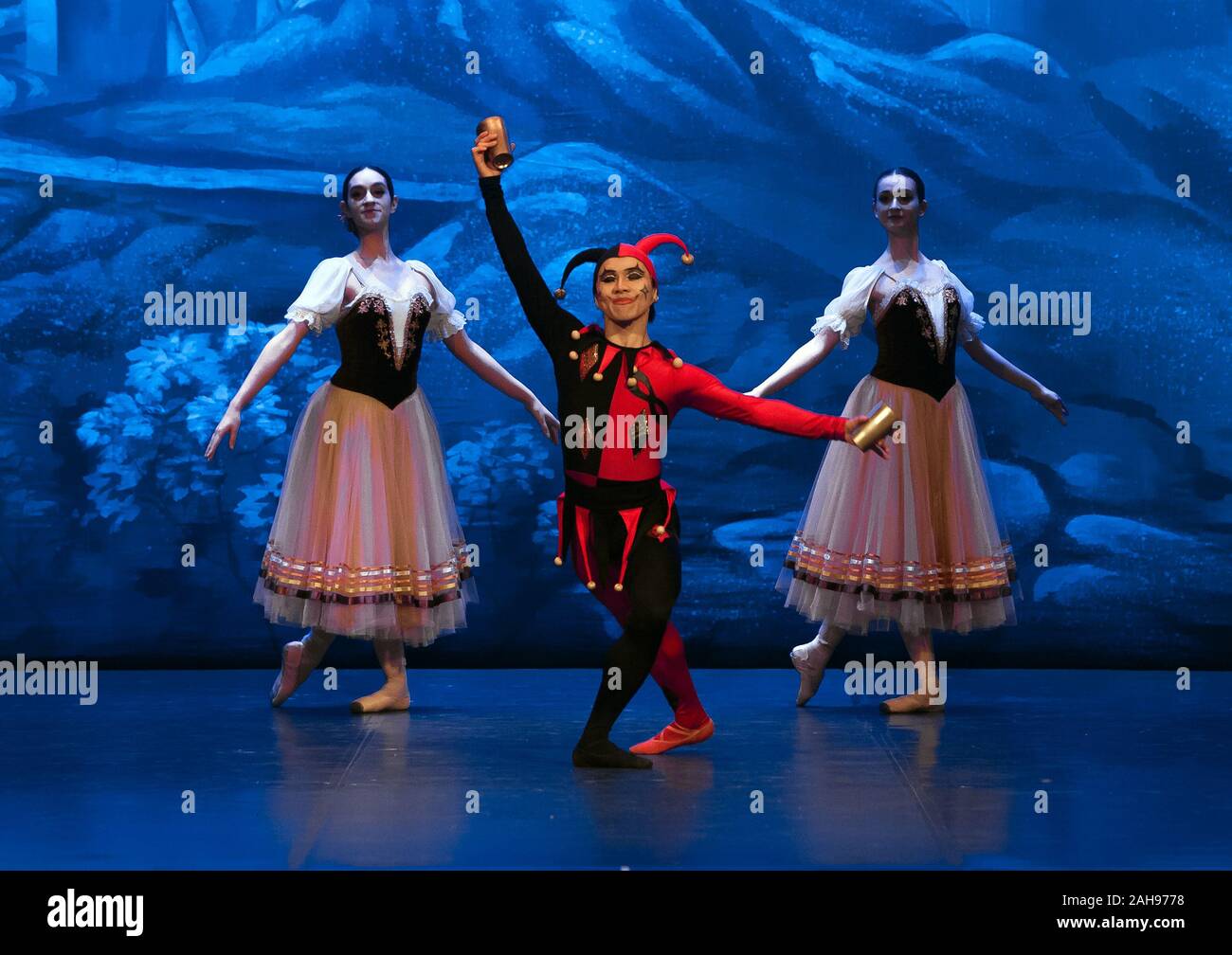 Malaga, Spanien. 26 Dez, 2019. Ballett Tänzer von St. Petersburg führen Sie auf der Bühne im ersten Akt einer Szene aus dem Schwanensee Ballett an Cervantes Theater. Das klassische Ballett St. Petersburg inszeniert von choreografin Andrei Batalov ist der höchste Ausdruck der Kultur der Russischen Tanz und kam nach Malaga Stadt als Teil der Tanz der Saison 2019-2020. Credit: SOPA Images Limited/Alamy leben Nachrichten Stockfoto