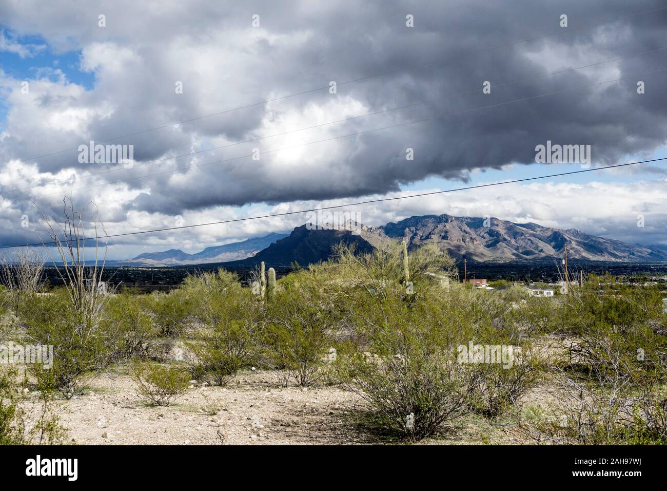Herrlicher Ansichtsturm beschattete weit entfernte Santa Catalina Berge, während Wolken schnell in den Himmel kommen, von sonniger hoher Wüste am westlichen Stadtrand von Tucson gesehen Stockfoto
