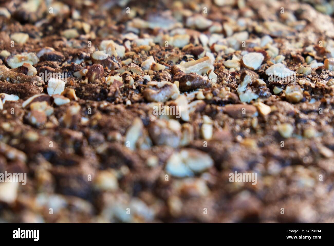 Eine Nahaufnahme eines Brownie mit Mandeln und Nüsse Stockfoto