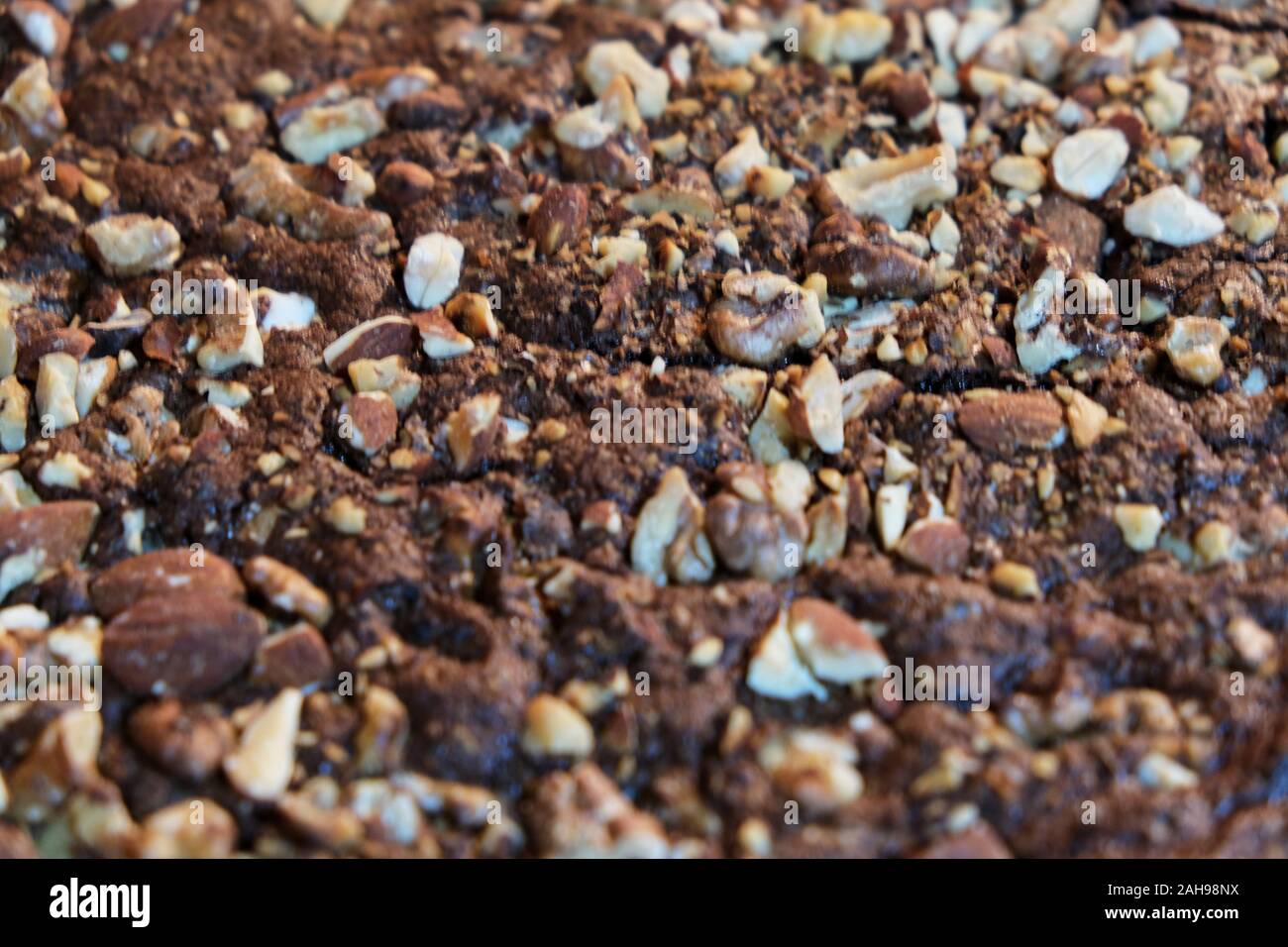Eine Nahaufnahme eines Brownie mit Mandeln und Nüsse Stockfoto