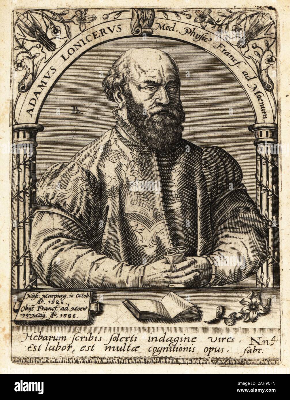 Adam Lonicer oder Lonitzer, 1528-1586, deutscher Botaniker, Autor des Krauterbuch, 1577. Adamus Lonicerus, Med. Physicus Francf. ad Moenum.. Kupferstich von Johann Theodor de Bry von Jean-Jacques Boissard der Bibliotheca Chalcographica, Johann Ammonius, Frankfurt, 1650. Stockfoto Adam Lonicer oder Lonitzer, 1528-1586, deutscher Botaniker, Autor des Krauterbuch, 1577. Adamus Lonicerus, Med. Physicus Francf. ad Moenum.. Kupferstich von Johann Theodor de Bry von Jean-Jacques Boissard der Bibliotheca Chalcographica, Johann Ammonius, Frankfurt, 1650. Stockfoto