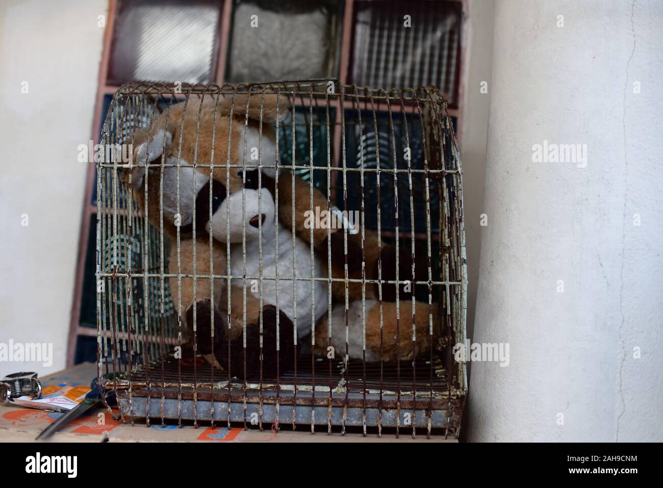Schlecht Teddy wird in PET-Käfig in Bangkok, Thailand gesperrt Stockfoto