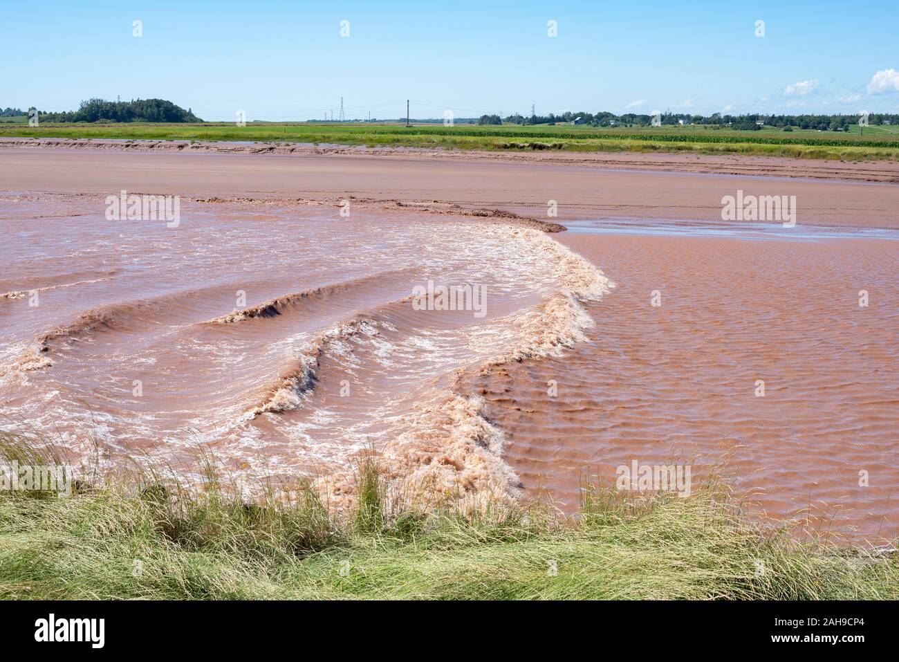 Flutwelle fließt doppelt ein Tag gegen die Petitcodiac River, Moncton, New Brunswick, Kanada Stockfoto