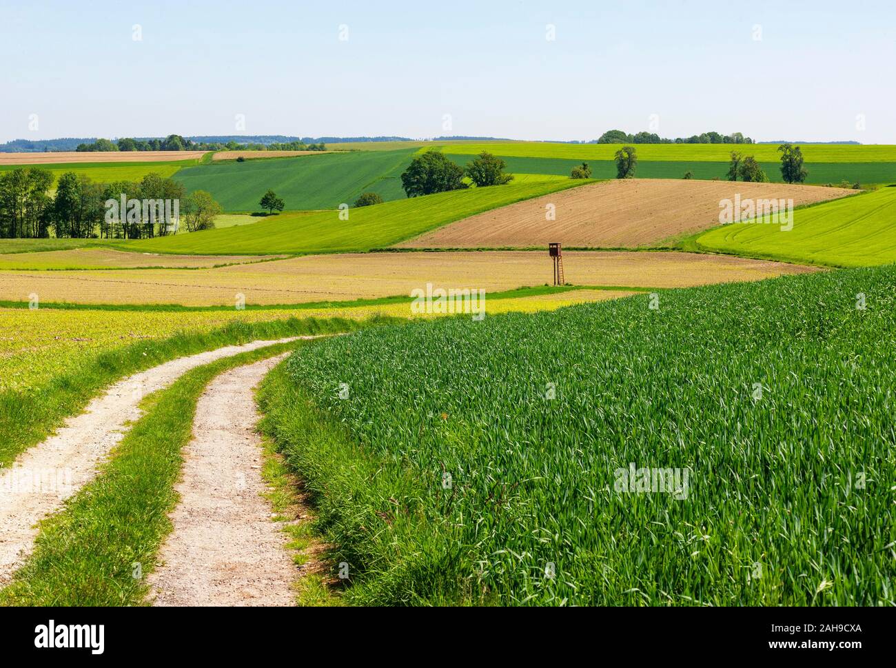 Feld Pfad, landwirtschaftliche Landschaft in der Nähe von Waldzell, Hausruckviertel, Oberösterreich, Österreich Stockfoto