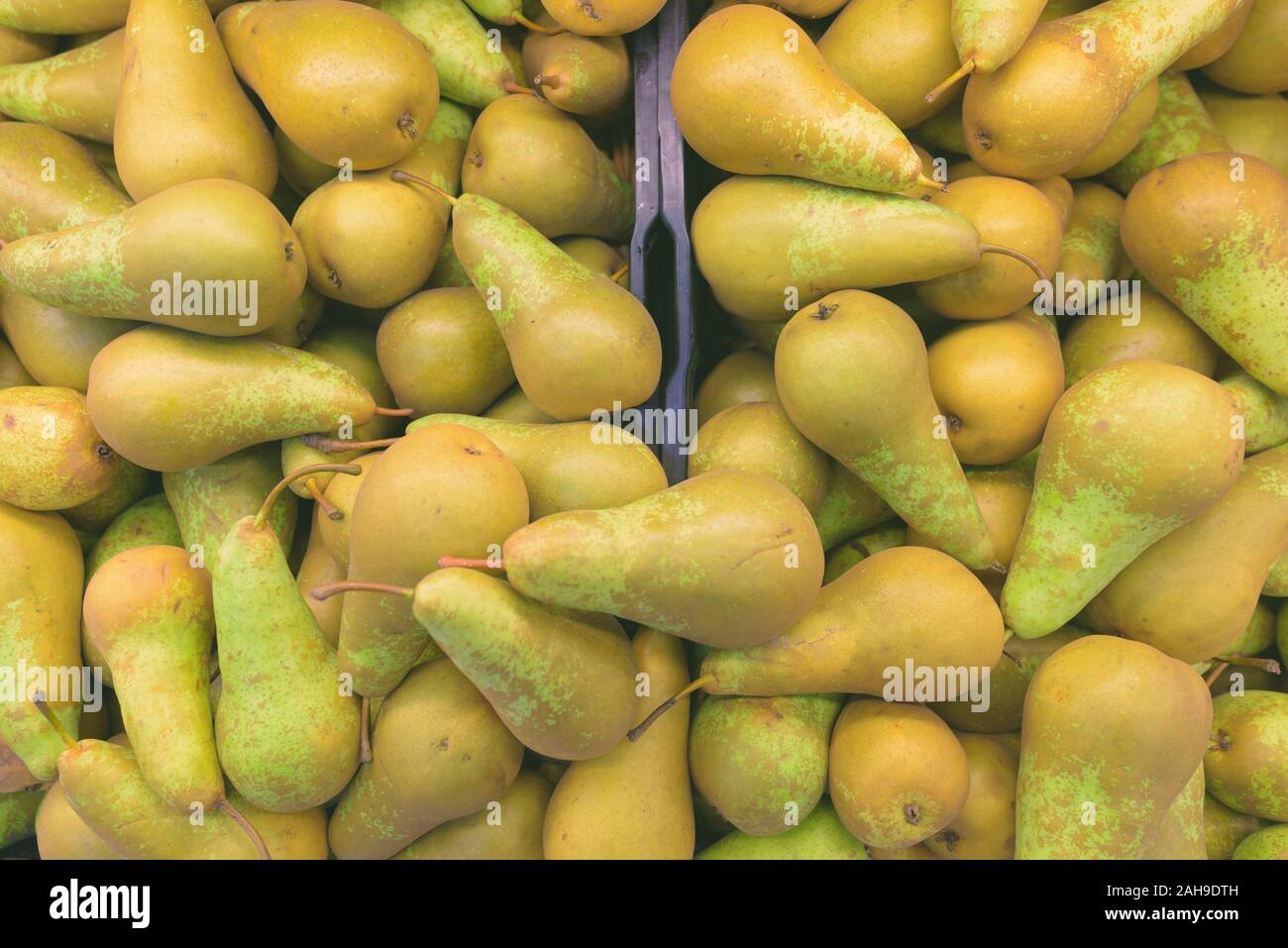 Full Frame Geschossen von Birnen in der Ansicht von oben Stockfoto