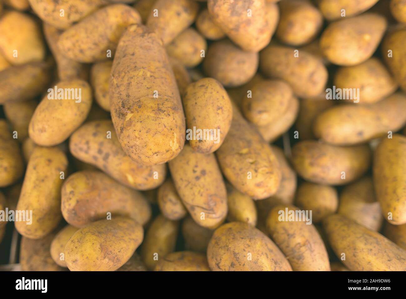 Full Frame Geschossen von Raw gesunde Kartoffeln zu verkaufen Stockfoto