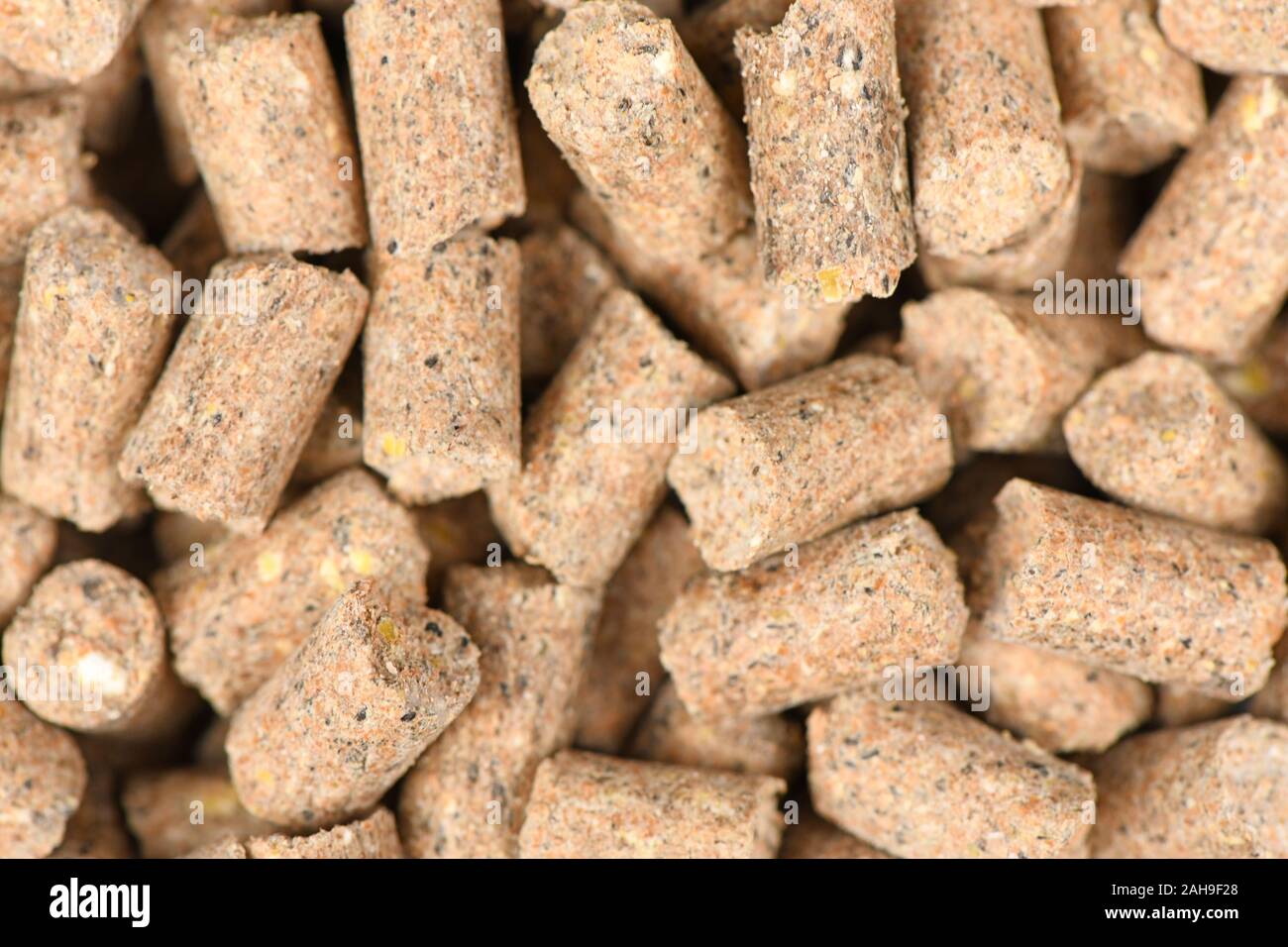 Braun Pellets für Karpfen angeln Hintergrund. Hochauflösendes Foto. Volle Tiefenschärfe. Stockfoto