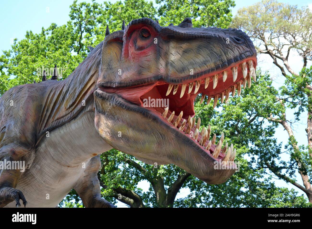 Life-size T-Rex Dinosaurier Modell an der West Midland Safari Park, Bad Salzungen, Worcestershire, England, Großbritannien Stockfoto