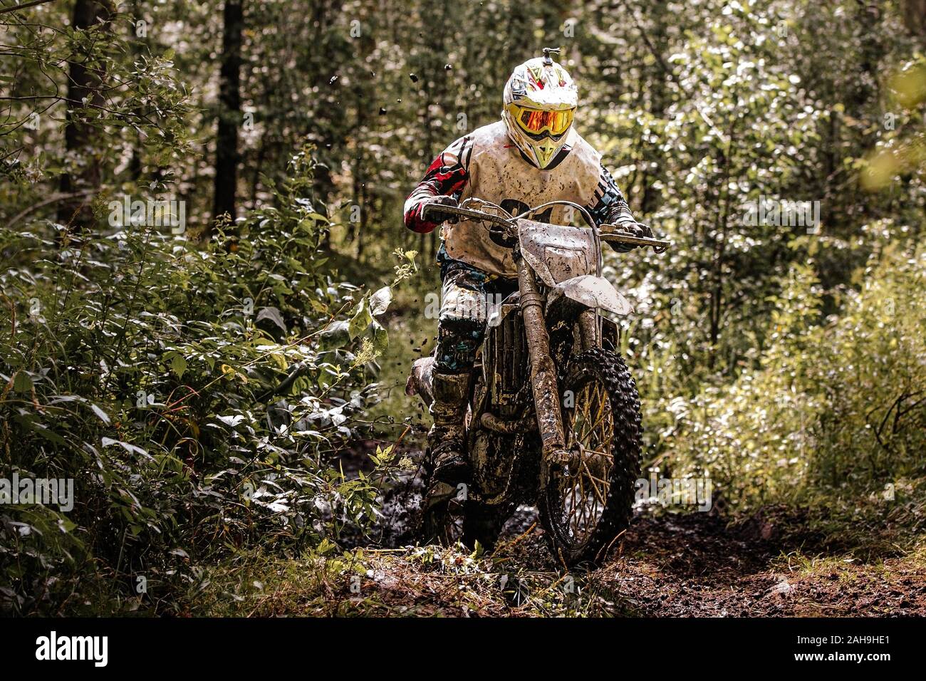 Motocross enduro Racer reiten auf schmutzige Wald Trail Stockfoto