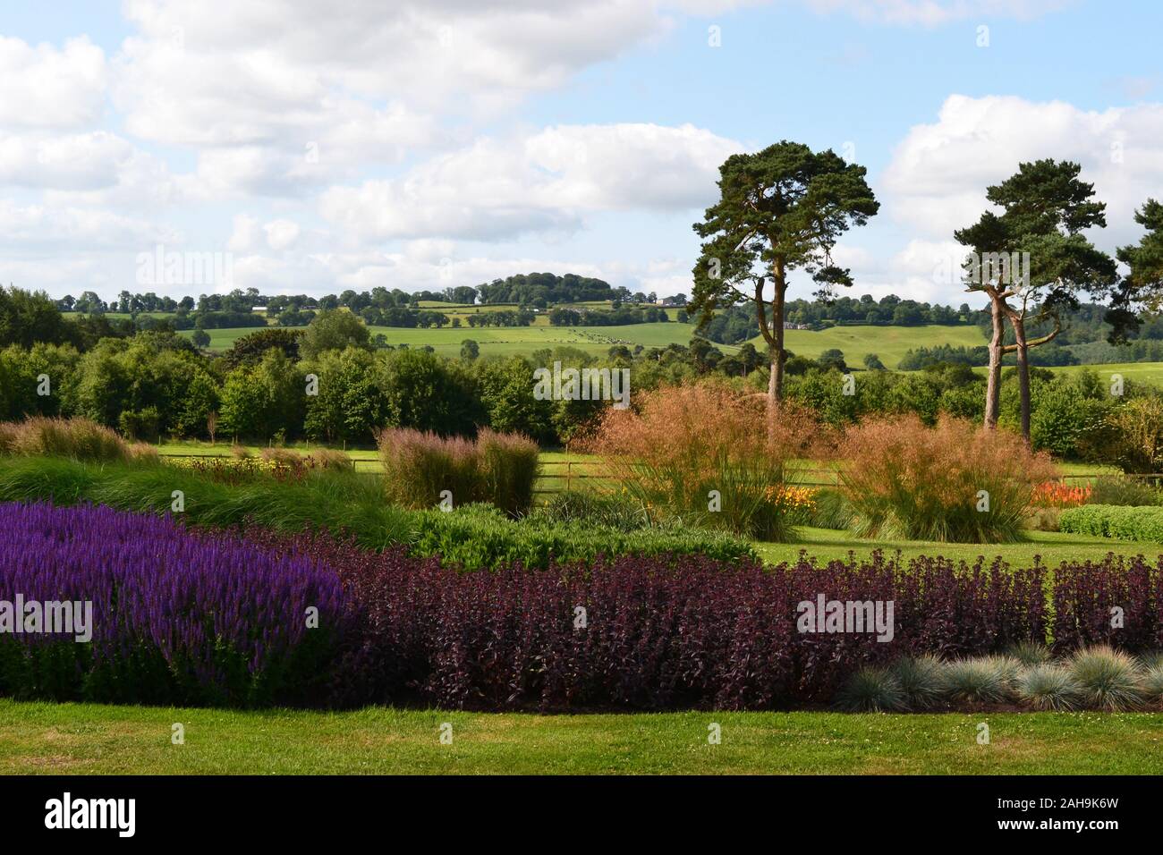 Abbeywood Gärten, Delamere, Northwich, Cheshire, Großbritannien Stockfoto