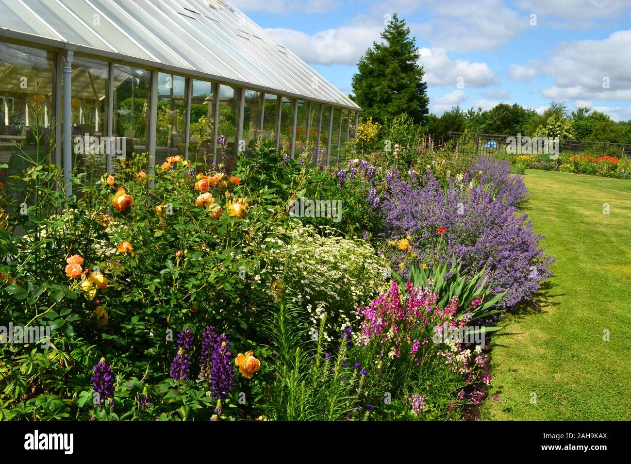 Abbeywood Gärten, Delamere, Northwich, Cheshire, Großbritannien Stockfoto