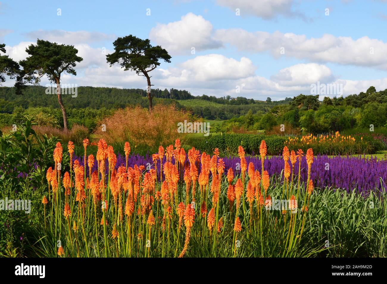 Abbeywood Gärten, Delamere, Northwich, Cheshire, Großbritannien Stockfoto