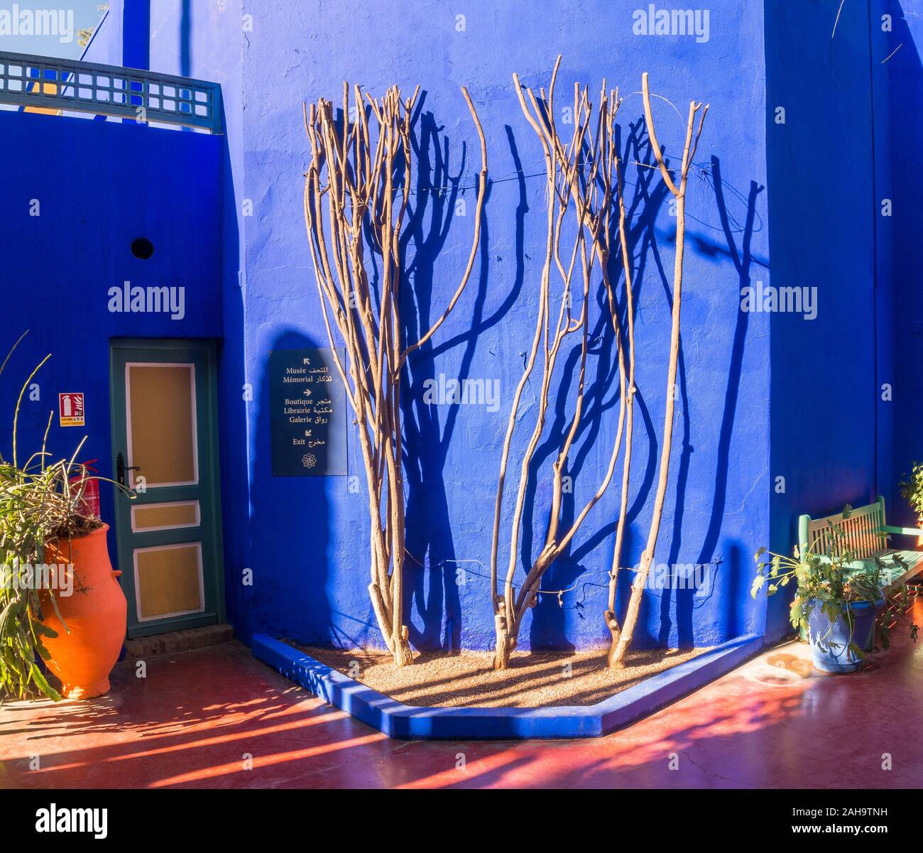 Detail der Blauen Haus im Jardin Majorelle Botanischer Garten, ehemaligen Besitzer Yves Saint-Laurent und Pierre Bergé, Marrakesch, Marokko. Stockfoto