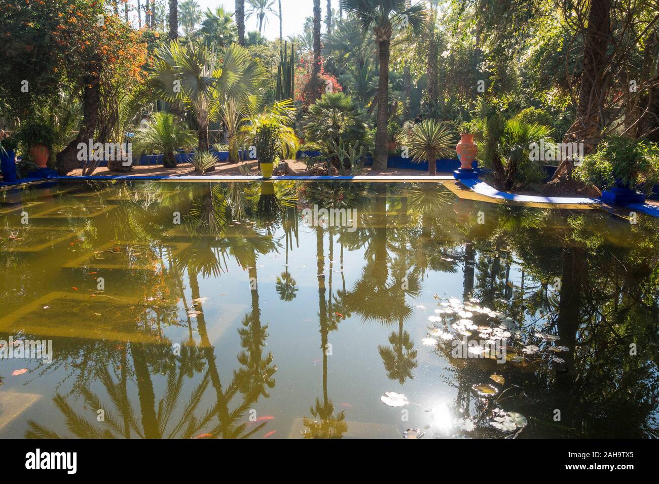 Jardin Majorelle, Majorelle Garten. Seerose Pool, Yves Saint Laurent und Pierre Bergé früher Eigentümer. Marrakesch, Marokko Gueliz Stockfoto