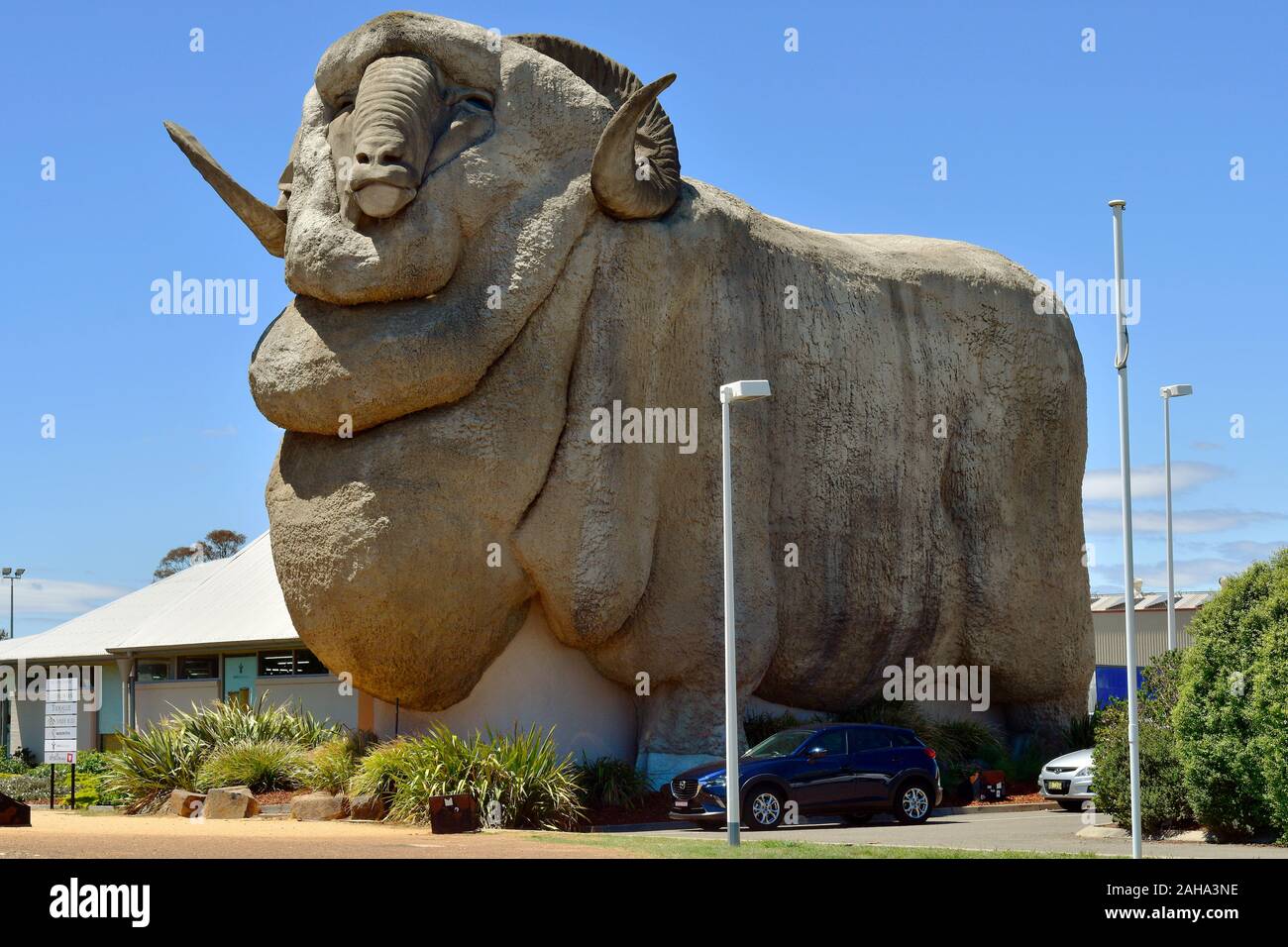 Goulborn, NSW, Australien - 01 November, 2017: Riesige ram Skulptur und Souvenirladen, Sehenswürdigkeiten für Wolle Industrie in New South Wales Stockfoto