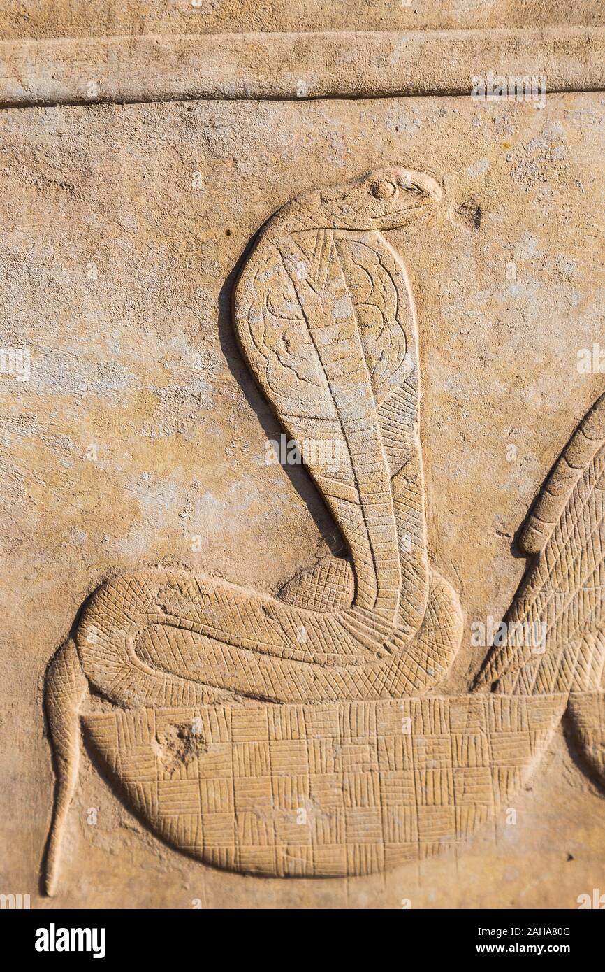 Theben in Ägypten, Karnak Tempel, das Open Air Museum, ein Relief mit der Darstellung der Namen eines Königs. Die Schlange und der Geier symbolisieren 2 die Göttinnen Ägyptens. Stockfoto