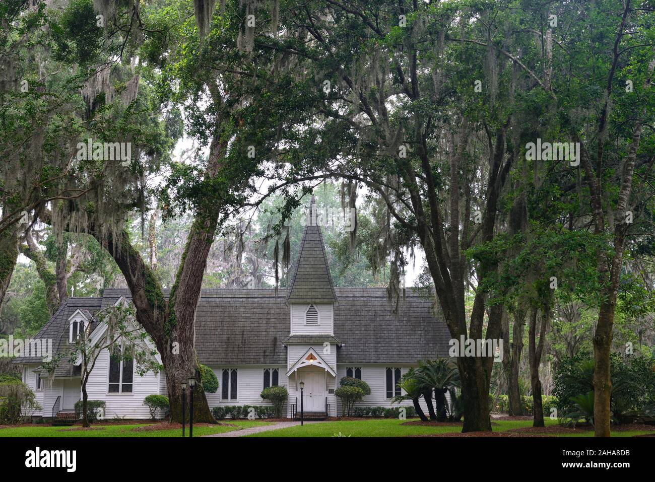 Christus der episkopalen Kirche, Fort Frederica, St Simons Island, Steineichen, Quercus virginiana, spanisches Moos, Tilandsia useneoides, Moos-hung Eichen, Georgia, USA, RM U Stockfoto