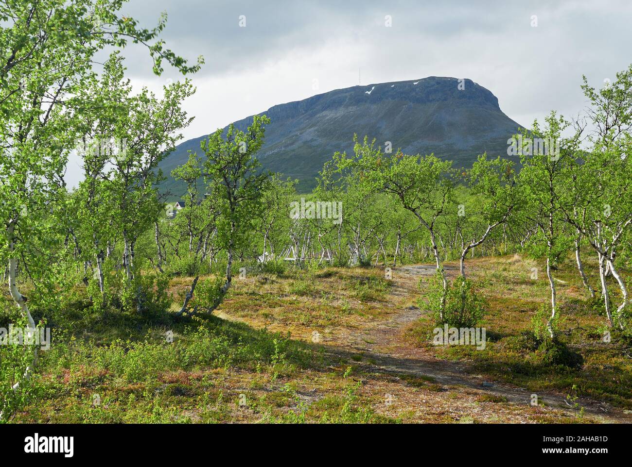 Idyllische Bergblick am Saanatunturi fiel in Enontekiö, Kilpisjärvi, finnisch Lappland, Finnland. Stockfoto