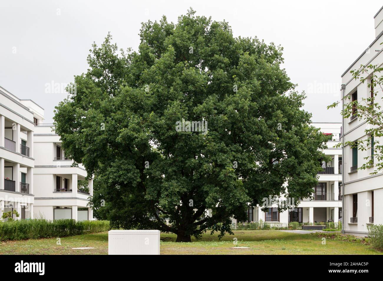 03.06.2018, Berlin, Berlin, Deutschland - Neue Wohngebäude in Newtonstrasse im Science Park Adlershof - Stadt der Wissenschaft. 00 P D315 180603 CAROEX. Stockfoto