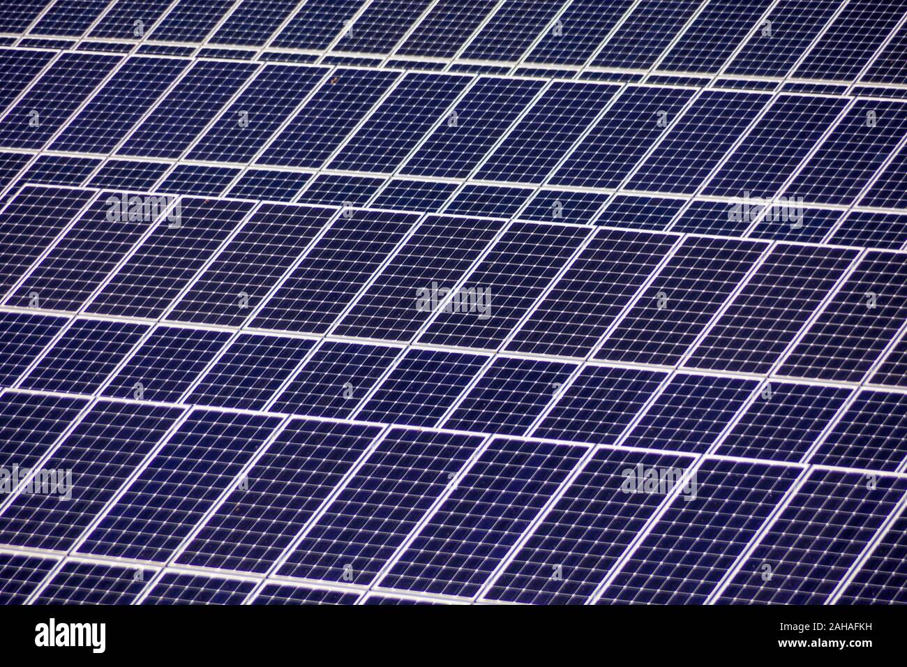 Solarzellen für die Gewinnung von Strom durch die Sonnenenergie eines Solarkraftwerkes. Alternative und umweltfreundliche Energie aus Sonnenkraft Stockfoto
