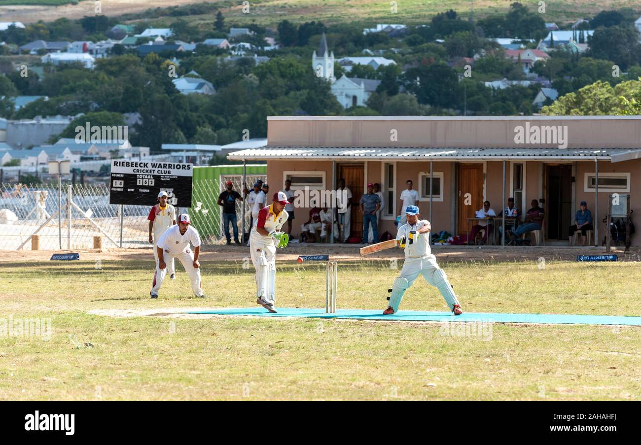 Riebeeck West, Swartland, Western Cape, Südafrika. November 2019. Cricketers spielen an der Riebeeck West Krieger home Boden Stockfoto