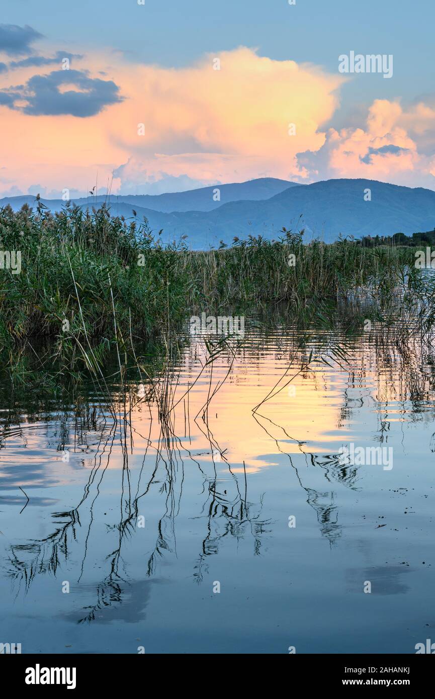 Blick über das Schilf im Mikri Prespa See bei Sonnenuntergang, Mazedonien, im Norden Griechenlands. Stockfoto