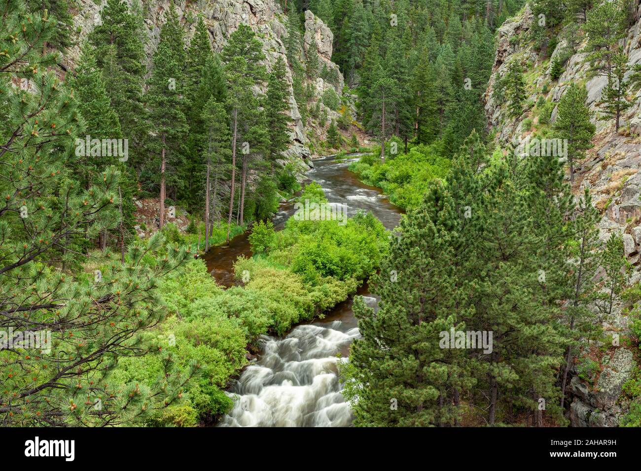 Big Thompson River und Big Thompson Canyon, in der Nähe von Estes Park, Colorado, USA Stockfoto