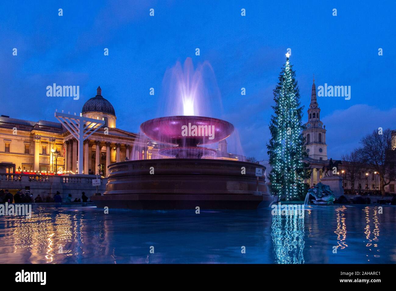 Am späten Nachmittag kurz vor Weihnachten in den Trafalgar Square, die mit der riesigen Norwegischen Weihnachtsbaum begabt zu Großbritannien jedes Jahr von Norwegen Stockfoto