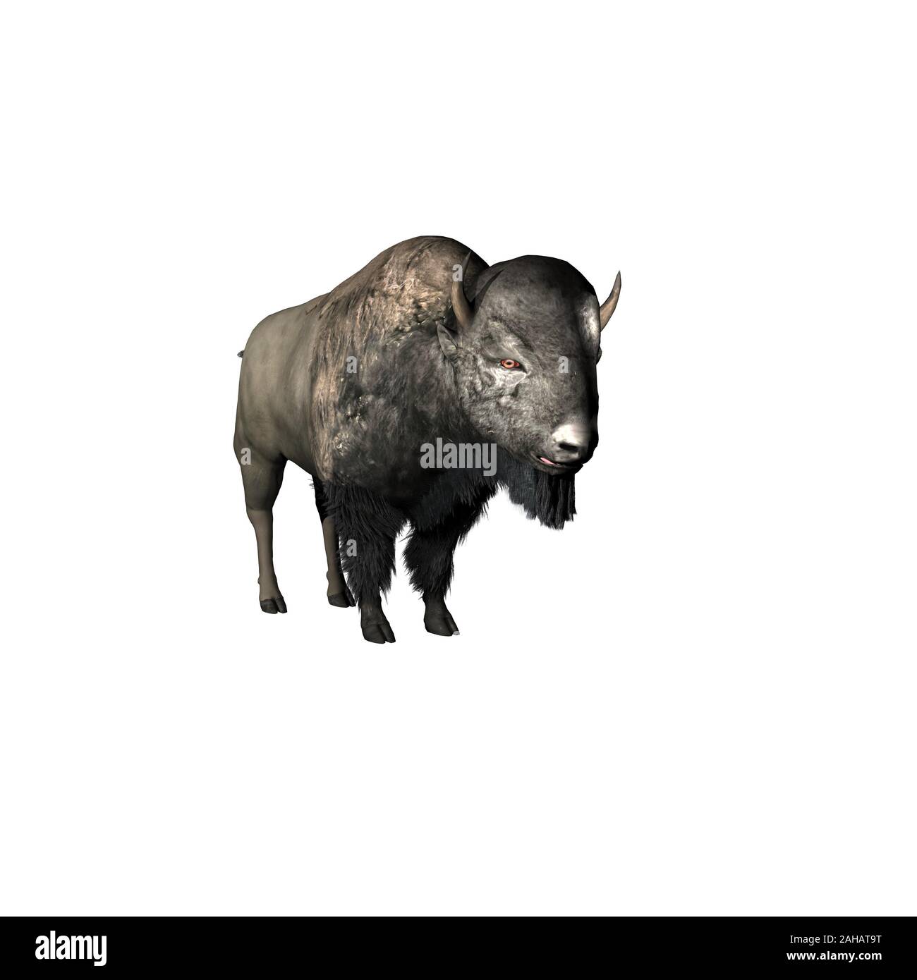 Illustrierte American Buffalo oder Bison über Weiß isoliert Stockfoto