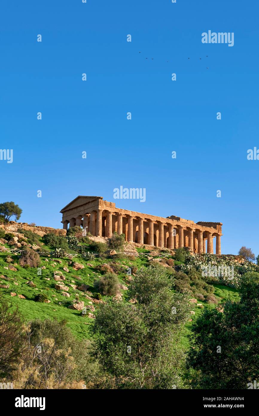 Tempel der Concordia (Tempio della Concordia). Valle dei Templi (Tal der Tempel). Agrigento Sizilien Italien Stockfoto