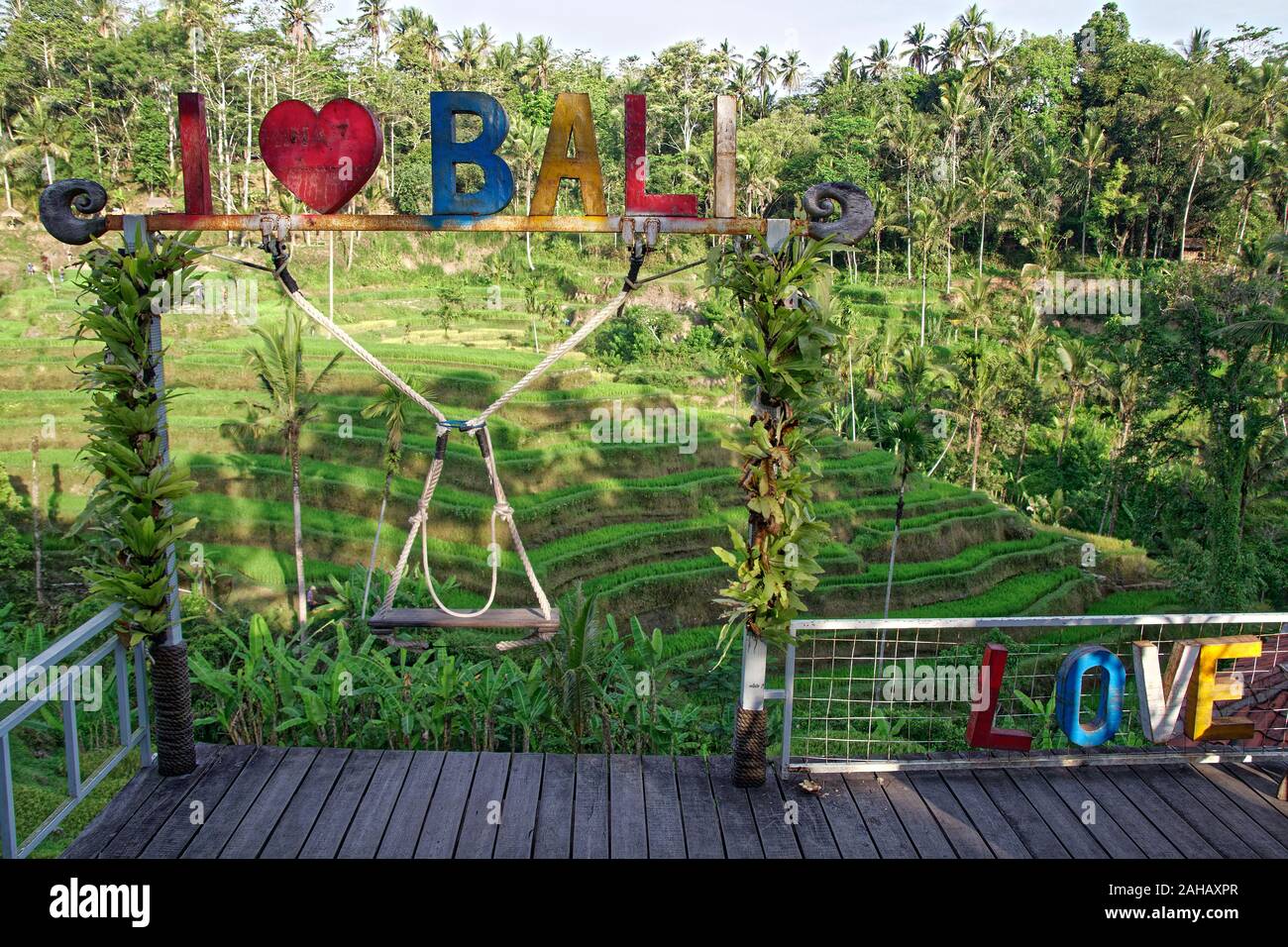 Tegallalang Reis Terrasse viepoint in Bali, Indonesien Stockfoto