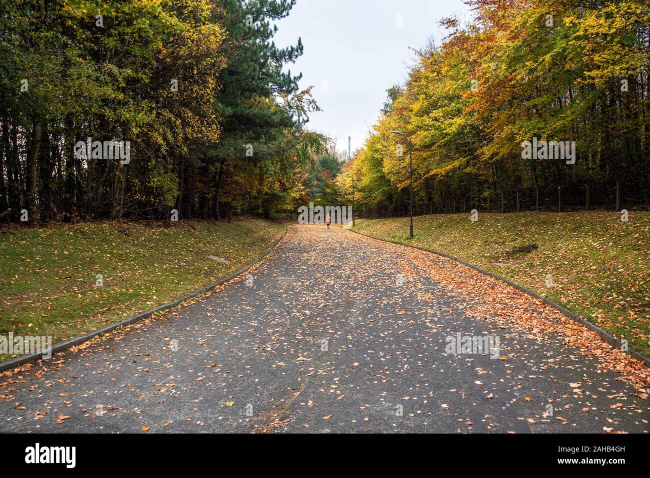 Fußgängerzone Straße in Blätter in einem Park. Eine einsame Person, die auf der Straße ist in der Ferne sichtbar. Stockfoto