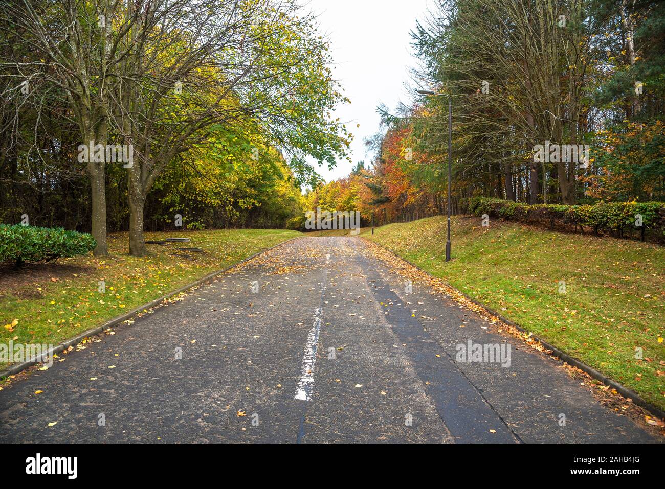 Leer, mit Bäumen gesäumten Straße in Blätter an einem bewölkten Herbst Tag abgedeckt Stockfoto