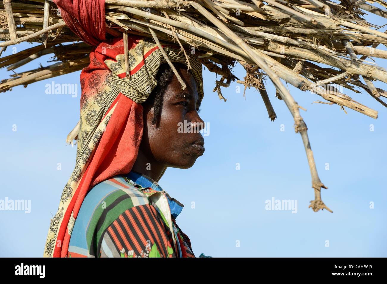 Tschad, Goz Beida, Flüchtlingslager Djabal für Flüchtlinge aus Darfur, Sudan, Frau tragen Brennholz/TSCHAD, Goz Beida, Fluechtlingslager Djabal fuer Fluechtlinge aus Darfur, Sudan Stockfoto