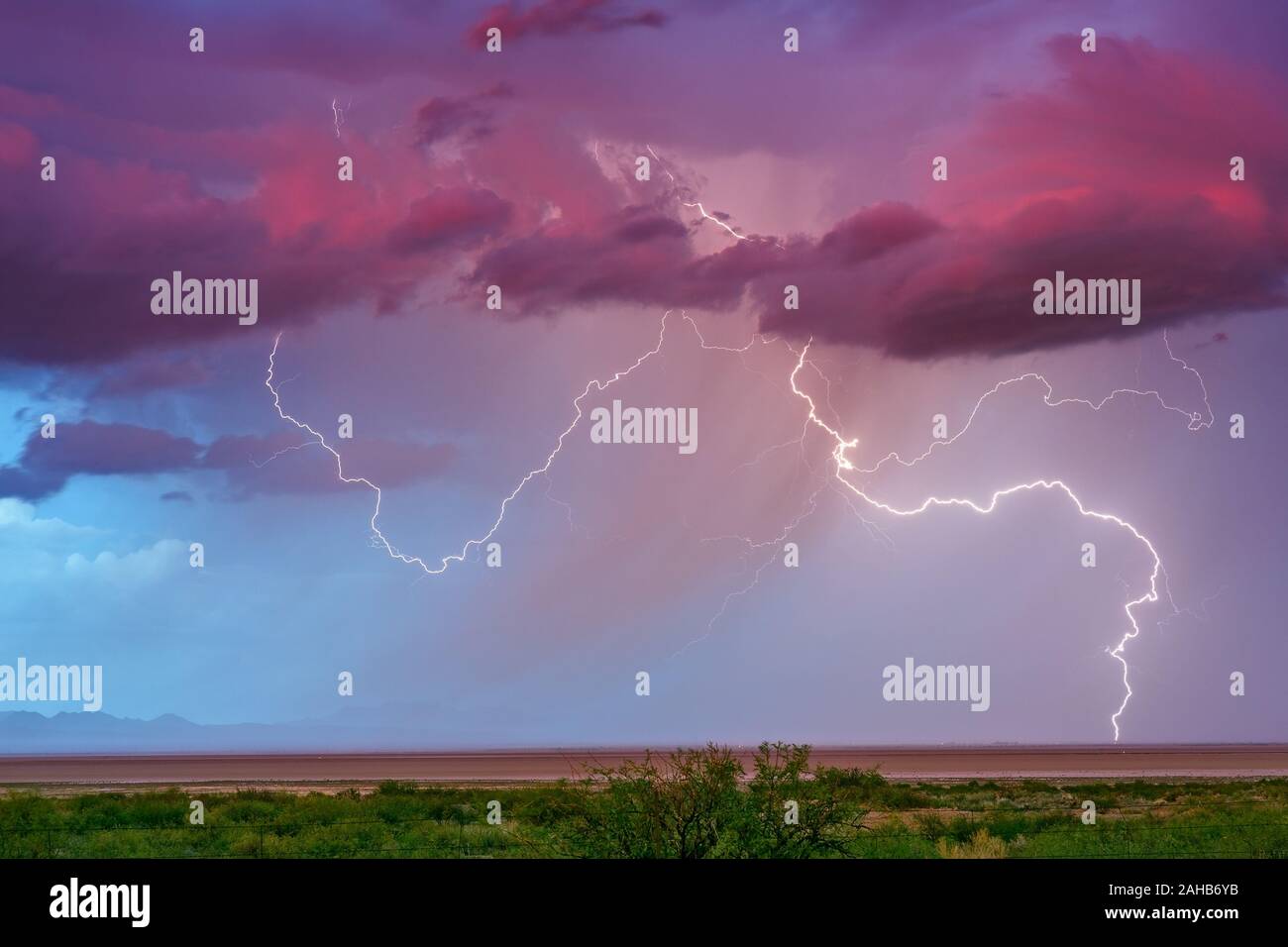 Der Himmel bei Sonnenuntergang und Wolken mit lebhaften Blitzeinschlägen, während sich in der Nähe von Willcox, Arizona, ein Monsunwetter entwickelt Stockfoto
