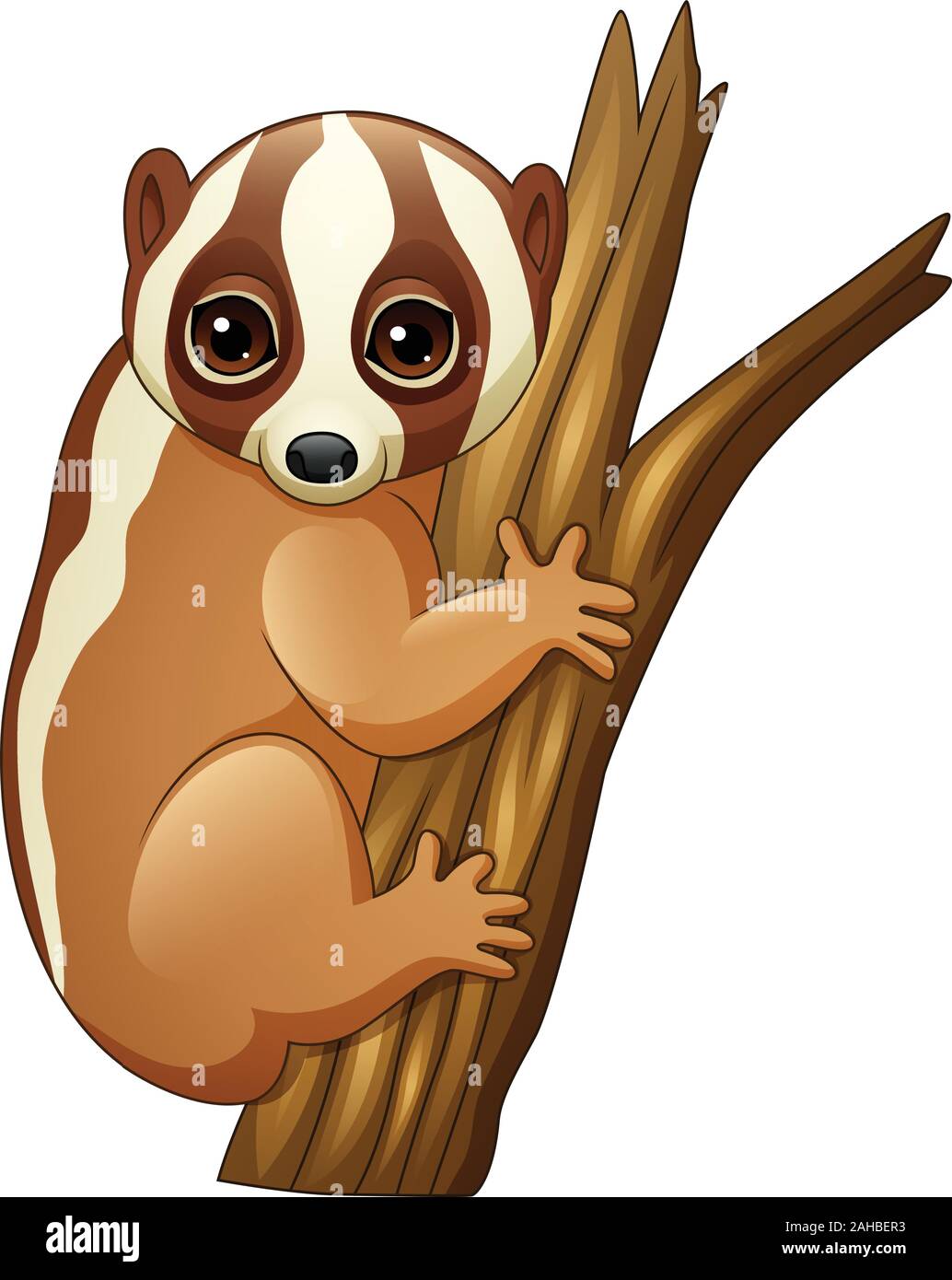 Cartoon Slow loris auf dem Zweig Stock Vektor