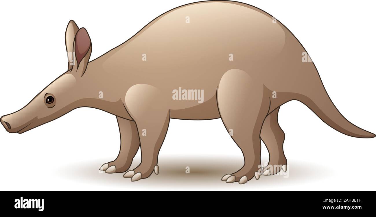 Cartoon Aardvark isoliert auf weißem Hintergrund Stock Vektor