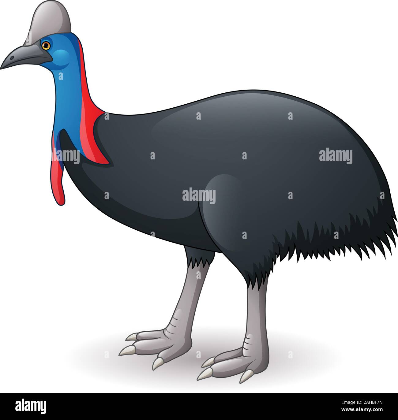 Abbildung: Cassowary auf weißem Hintergrund Stock Vektor