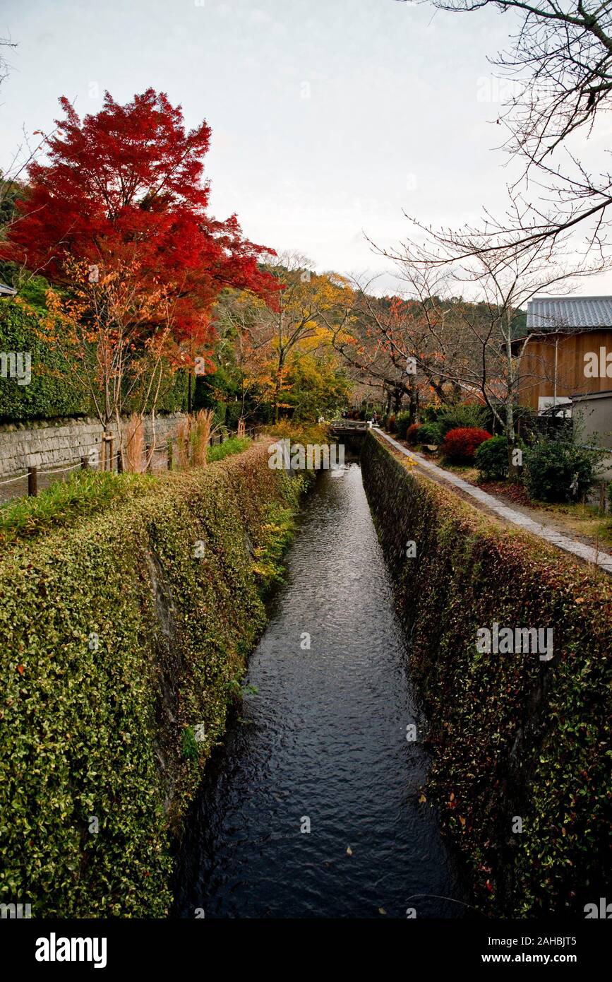 Philosopher's path, Kyoto, Japan Stockfoto