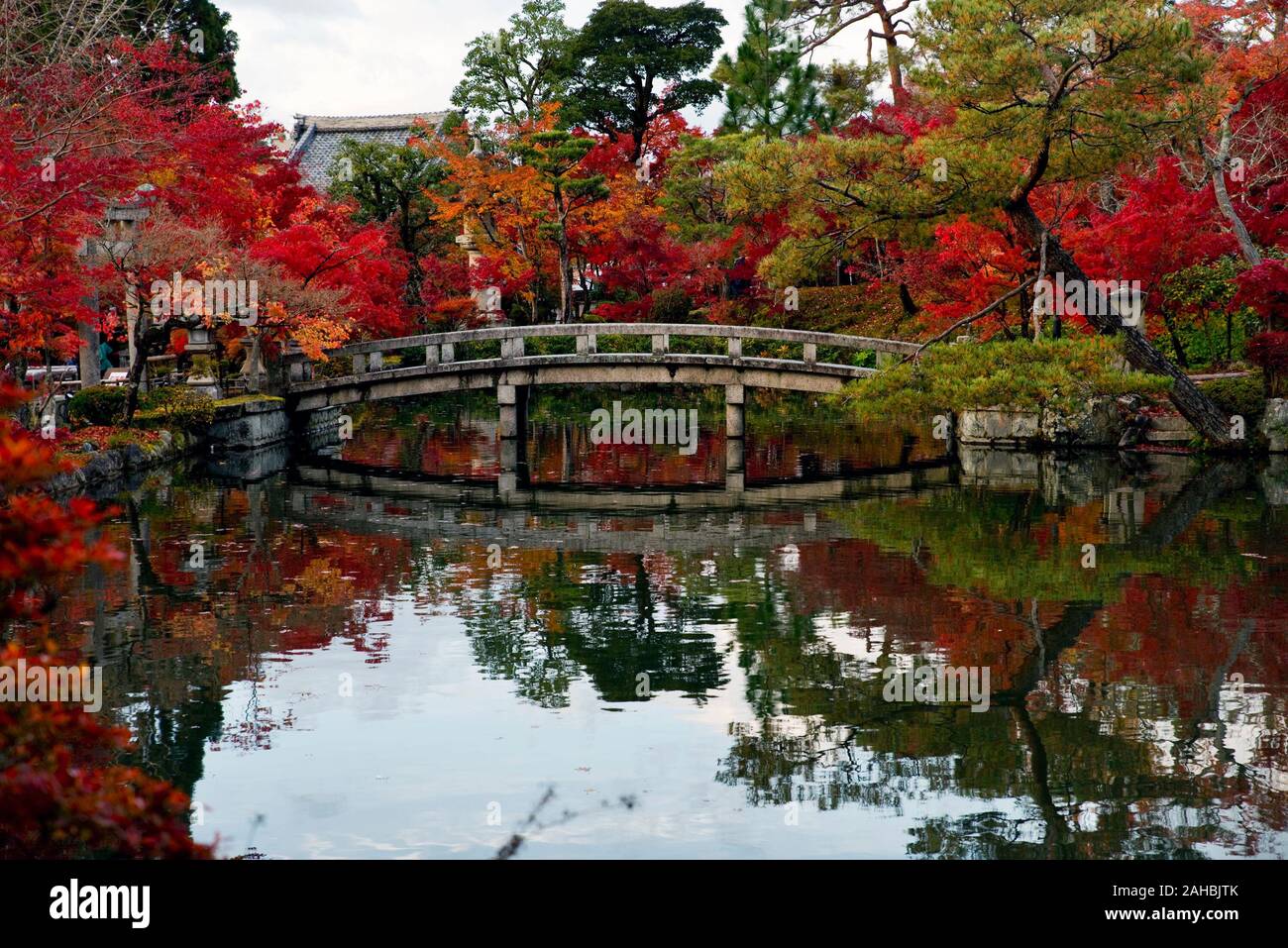 Zenrin-ji-Tempel im Herbst, Kyoto, Japan Stockfoto