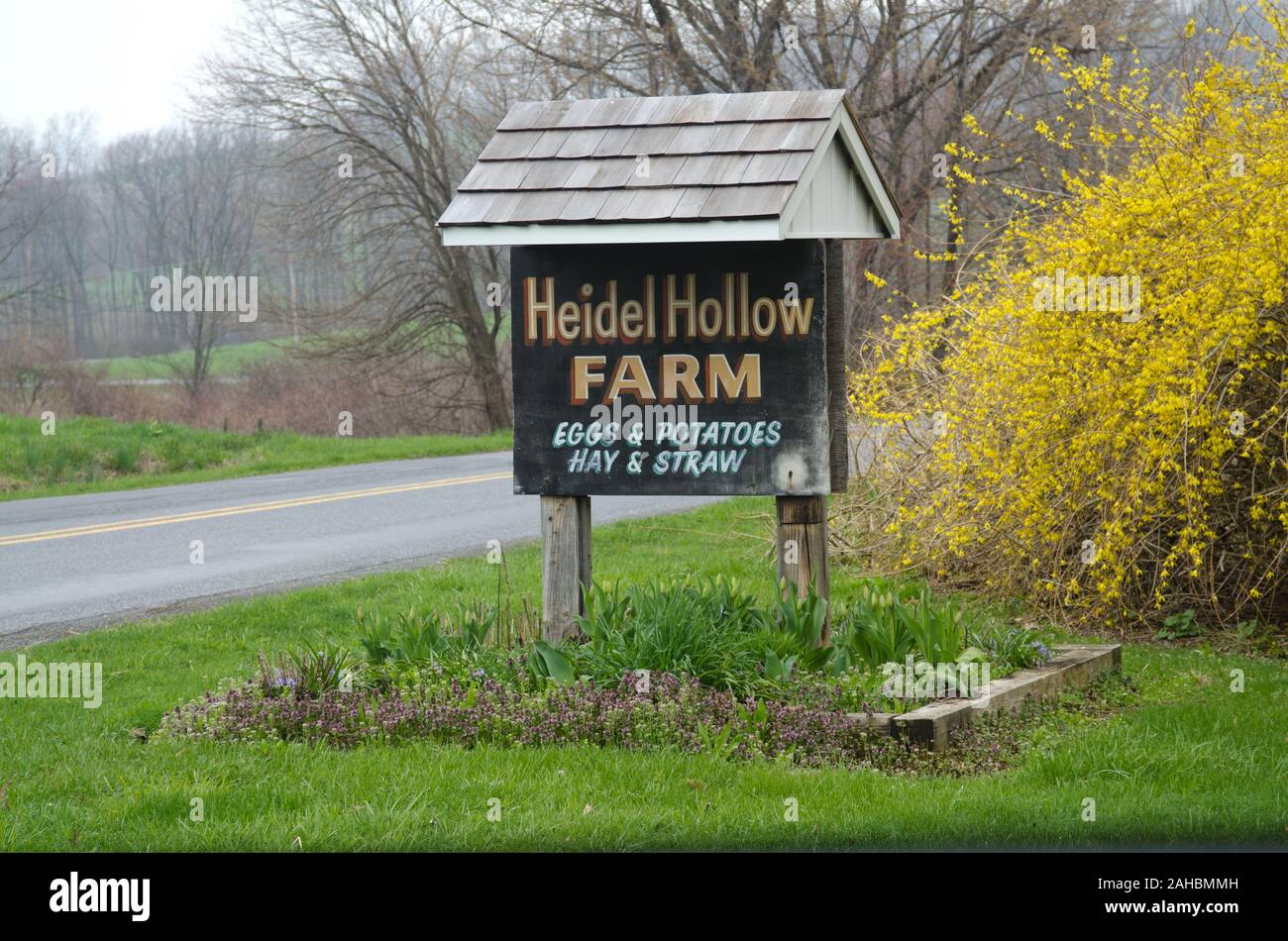 Heidel Hollow Farms hat eine Familie besaß Bauernhof seit 1852 und wird zurzeit eine 1.800 Hektar große Betrieb in Germansville, PA am 20. April 2011. Von Präsident David Fink führte sie hauptsächlich produzieren und kompakt Heu für den Export; Zusätzlich wachsen Sie produzieren auf 300 Morgen für den lokalen Verkauf innerhalb eines 40-Meilen-Radius. Mit der finanziellen Hilfe der US-Ministerium für Landwirtschaft (USDA) ein 896 Panel solar array vor kurzem auf unfarmable Umleitung-gräben installiert wurde. Bei 200 Kilowatt ausgelegt, sie Projekt 240 Megawatt Strom pro Jahr erzeugt werden, die bis zu 70 % der Betriebe elektrischen Anforderungen. Zusätzlich Stockfoto